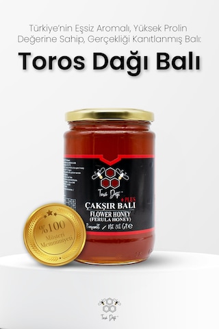 Toros Dağı Çakşır Balı 860 G