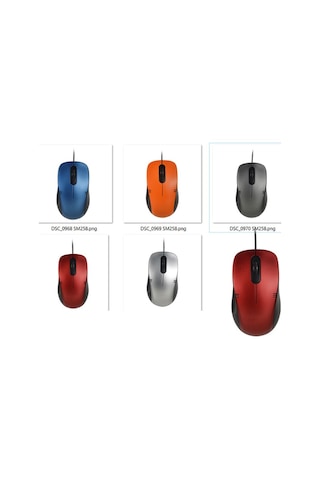 Everest SM-258 Kablolu Optik Mouse