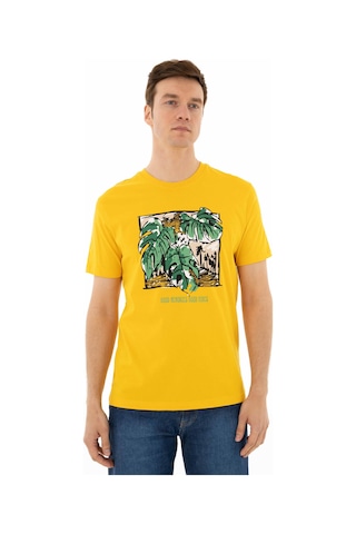AR-MA Arma Erkek Regular Fit Bisiklet Yaka Tişört Y25344403501 Sarı