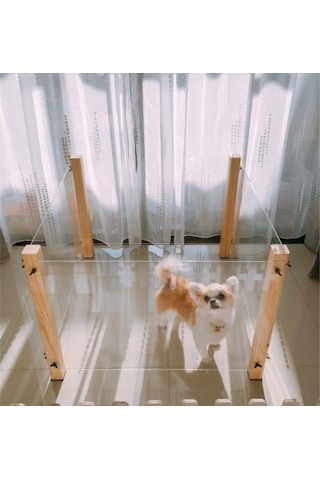 Pleksi Ahşap Köpek Çiti