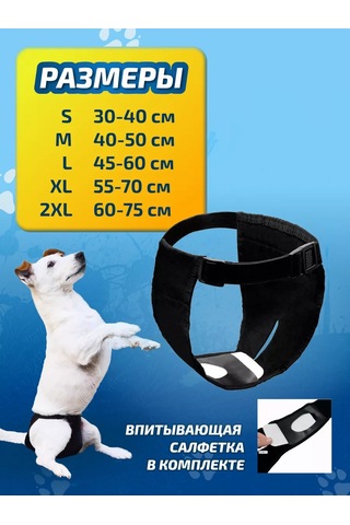 Anshery Köpekler İçin Kızgınlık Dönemi İçin Tekrar Kullanılabilir Külotlar 176563743