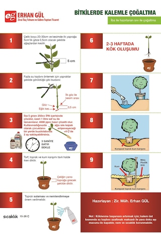 Iba K ( Indol Butirik Asit ) Çelik Köklendirme Hormonu 5 Gram