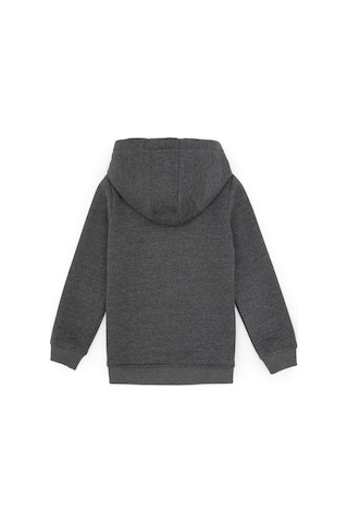U.S. Polo Assn. Erkek Çocuk Antrasit Melanj Fermuarlı Kapüşonlu Sweatshirt 50313852-VR081