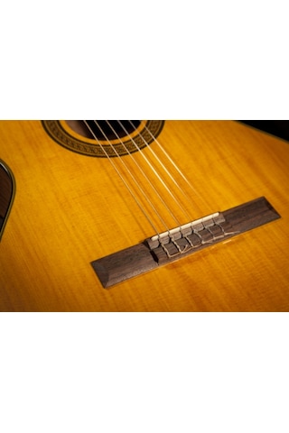 Takamine Gc3 Natural Klasik Gitar