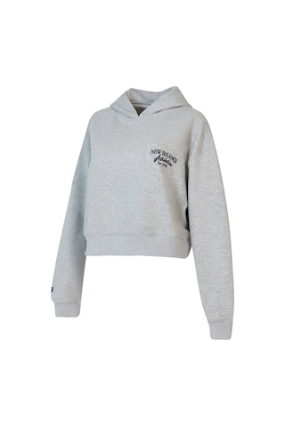 New Balance Nb Lifestyle Women Hoodie Kadın Gri Sweatshirt - Wnh1639