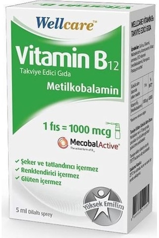 Wellcare Vitamin B12 1000 Mcg Sprey 5 ML