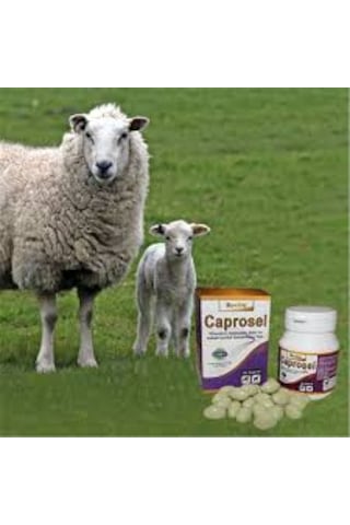 Royal İlaç Caprosel 50 Kapsül Yüksek Oranda Vitamin E, Selenyum, Kobalt