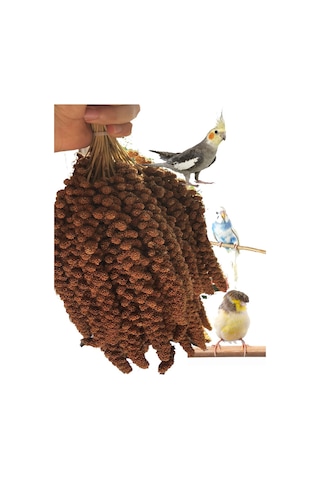 Kızıl Dal Darı 2 KG