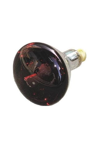 General 250 Watt Infrared Ampul Red