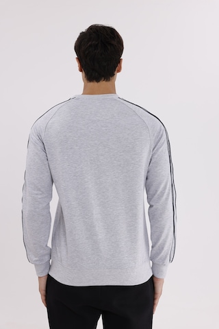 Rowinger Çift Şeritli Raglan Kol Minimal Logolu Bisiklet Yaka Sweatshirt Grey
