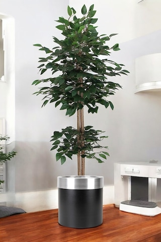 Yapay Benjamin Ağacı Bambu Gövdeli Yeşil Şık Metal Sıyah Saksılı 150 Cm Yeşil Yapay Benjamin Ağacı Bambu Gövdeli Yeşil Şık Metal Sıyah Saksılı 150 Cm Yeşil