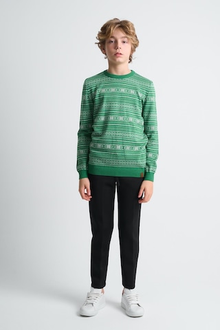 Alexandergardı Bisiklet Yaka Çocuk Triko Kazak C23-7103 Yeşil