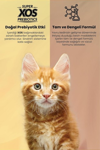 Plus Yavru 36/18 Tavuklu Kedi Maması 8 Kg