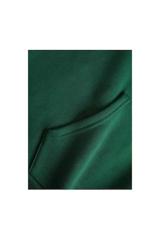 Caddekombin Aot Keşif Birliği Arka Göğüs Baskılı Kapüşonlu Cepli İçi Yünlü Yeşil Sweatshirt Yeşil