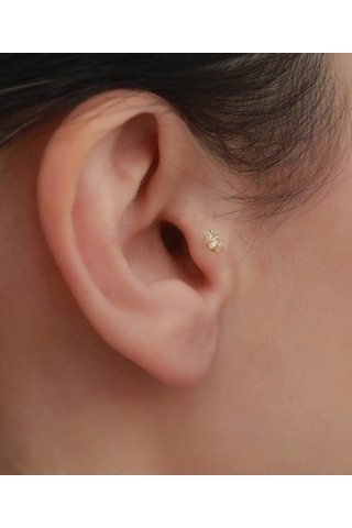 14 Ayar Altın Taşlı Yıldız Tragus Piercing Sarı Altın