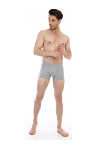 Çift Kaplan Erkek Elastanlı Gri Boxer 810 Gri