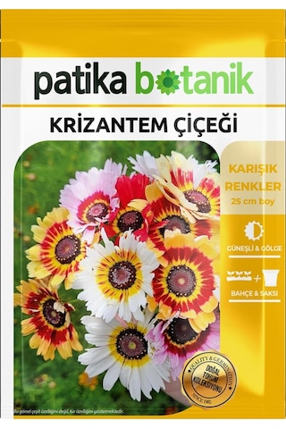 50 Adet Krizantem Çiçeği Tohumu