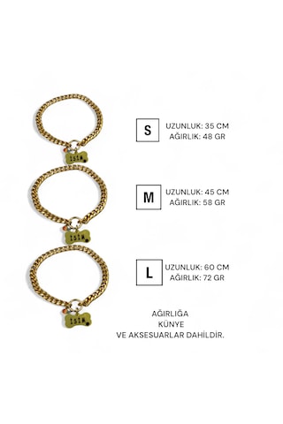 Caramelos İsimli Köpek Tasması- Köpek Zincir - Paslanmaz Çelik Köpek Kolyesi - Köpek Kolye - Orta Ve Büyük Irk Altın