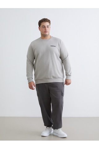 Lcwaıkıkı Classic Gri Bisiklet Yaka Baskılı Erkek Sweatshirt