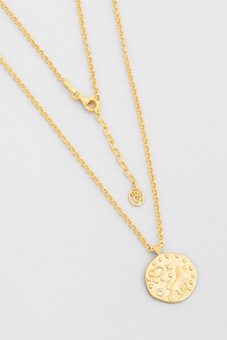 Aslan Burcu 18 Ayar Sarı Altın Kaplama 45 Cm Gümüş Kolye Sarı