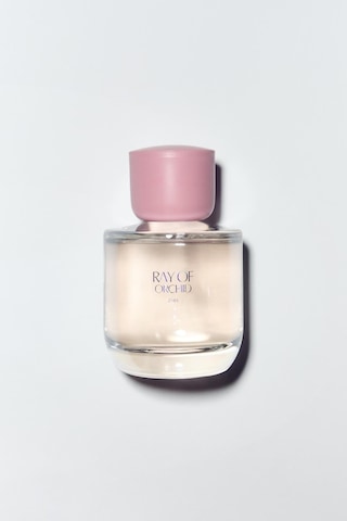 Zara Ray Of Orchıd Lımıted Edıtıon Edp 90ml 3.04 Fl.oz . Çiçeksi - Meyve