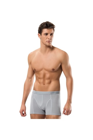 Erdem Erkek Boxer Pamuk Elastan 1445