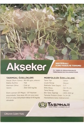 Taşpınar Akşeker Kuru Fasulye Tohumu 1 Kg