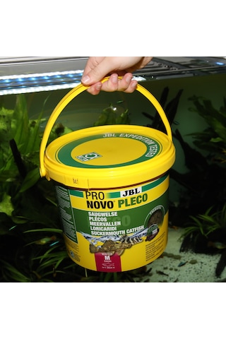 Jbl - 905 - Pronovo Pleco Wafer - Csmo-tex - M 5,5l