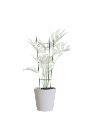 Garden With Ware Bitki Destek Kafesi - 60 Cm