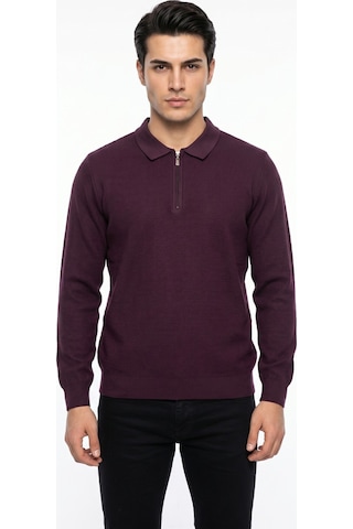 Foterman Erkek Spor Polo Yaka Mevsimlik Kazak Bgl-st05443 Mürdüm