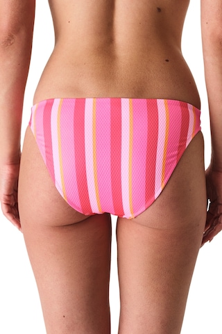 Penti Celinda Chic Bikini Altı
