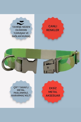 Caramelos İsimli Köpek Tasması, Köpek Künyesi, Köpek İsimlik 210 Açık Yeşil