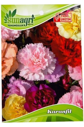 Karanfil Çiçeği Tohumu-3324