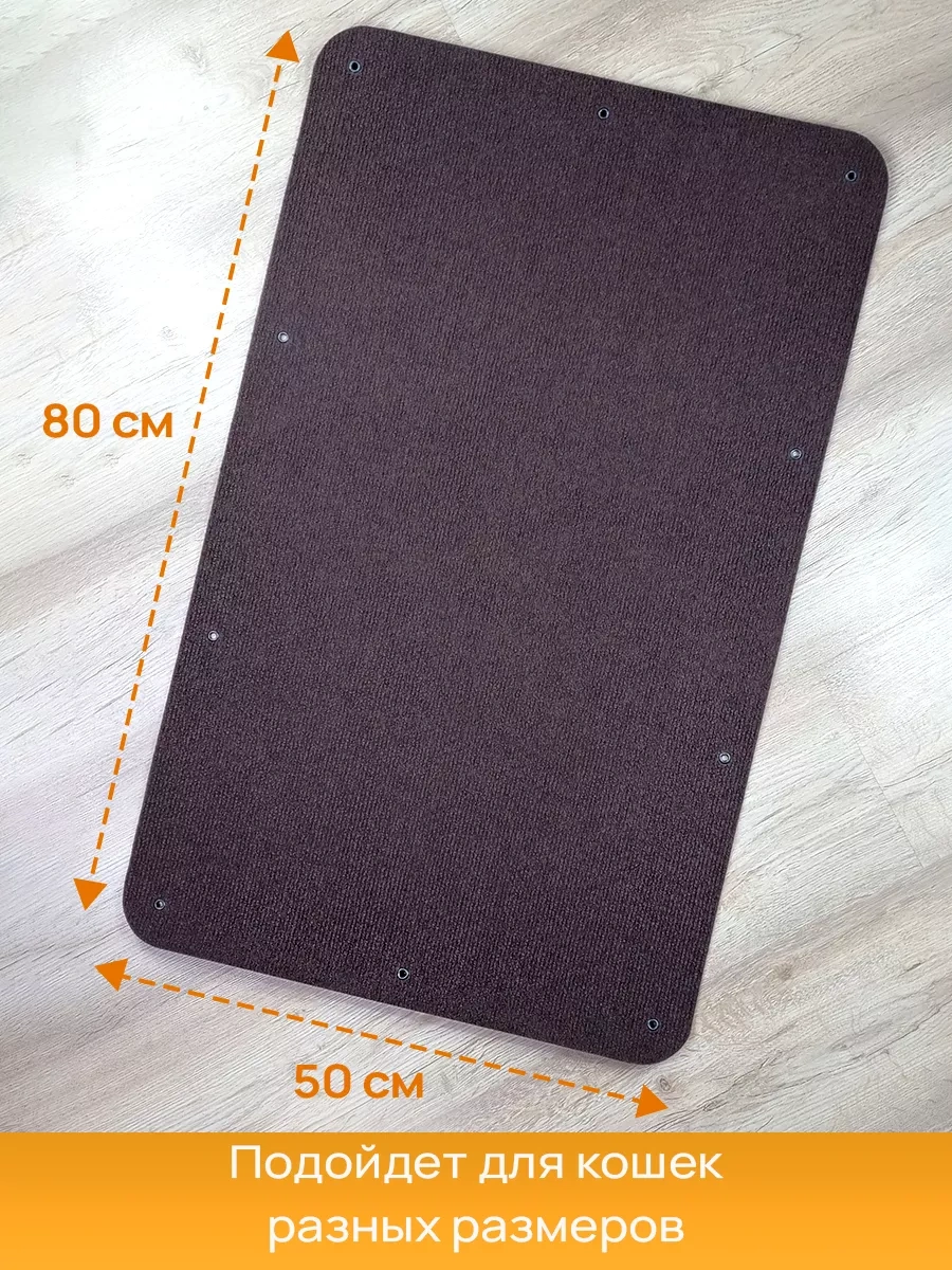 Aseliadia Kedi Kınağı - 80x50 Cm Kanepe Tipi 214462810