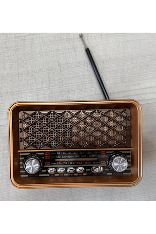 Fm Radyolu Led Işıklı Bluetooth Hoparlör Radyo Sd Kart Usb Girişli Mp3 Müzik Çalar