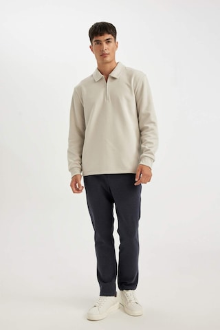 DeFacto Regular Fit Polo Yaka Yarım Fermuarlı Basic Düz Sweatshirt D2279AX24AUGR425 Gri