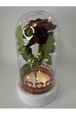 Sevgililer Günü Hediyesi - Işıklı Fanus İçinde Tek Kırmızı Gül - Işıklı Fanus 12x20 Cm Hediye Kalp Anahtarlık Ebat-12x20 Cm
