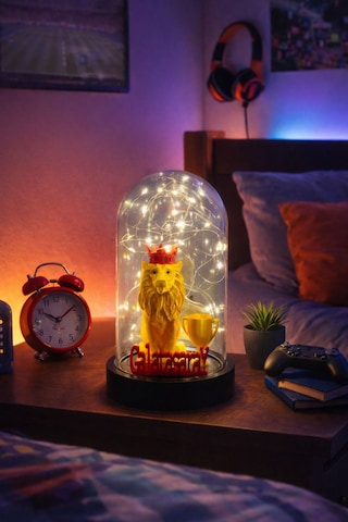 Fanus İçinde Aslan Figürlü Kupa Detaylı Ve Taraftarlar İçin Peri Led Dekoratif Işık Ev Dekorasyonu Sevgili, Yıl Dönümü, Doğum Günü Hediyesi Turkuaz