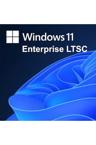Windows 11 Enterprise Ltsc 2024 Lisans Key