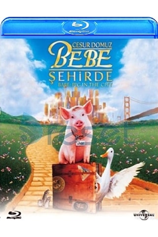 Bebe Pig In City - Cesur Domuz Bebe Şehirde Blu-Ray