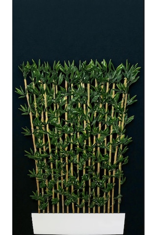 120 Cm Saksıda Bambu Seperatör 18 Adet 200 Cm Bambu İle Çok Renkli