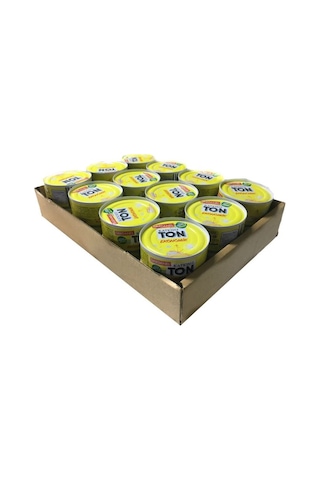 Dardanel Ton Balığı Ekonomik 24 x 160 G