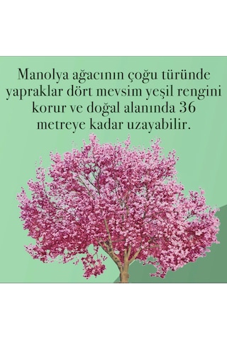 Eyüp Sabri Tuncer Manolya Çiçeği El ve Vücut Peeling 400 ML + El ve Vücut Kremi 50 ML + Kolonya Pet Şişe 400 ML + Sprey Kolonya 150 ML