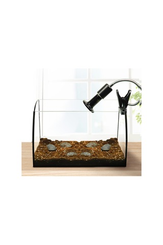 Singree Sürüngenler İçin Hızlı Isınan Kızılötesi Seramik Isıtma Lambası - 200w Diğer