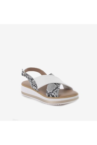IGI&Co Sandalet Kadın 1186622 Igı&co Dpt 11866 Roccia Taş