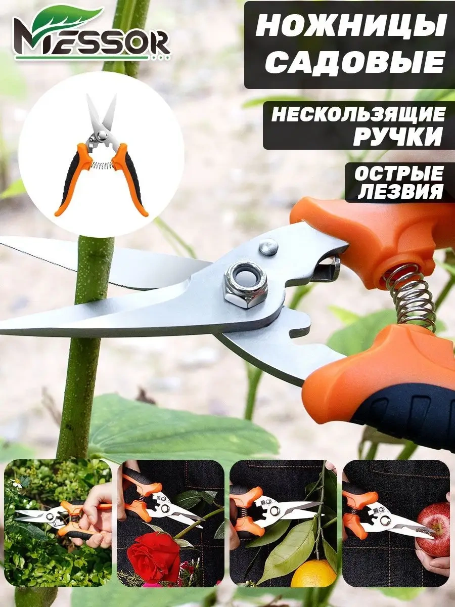 Messor Bahçe Makasları Mekanik, Şube Kesici Bahçe Ve Bitkiler İçin 85903336