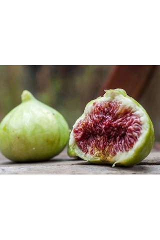 Bursa Beyazı İncir Fidanı Tüplü