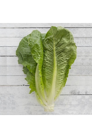 Marul Yedikule Tohumu 10gr Paket Sebze Tohumu