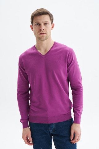 AR-MA Arma Erkek Slim Fit Basic V Yaka Triko Kazak K9kro0852 Mor