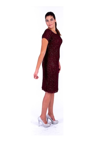 Nidya Moda Büyük Beden Kadın Bordo Dantel Abiye Elbise-4035Yb Bordo